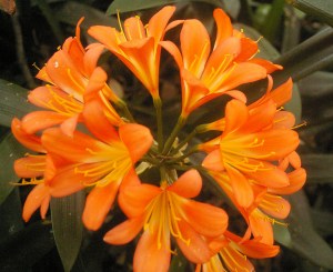 source: gooddayproject.com